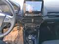 Ford EcoSport 1.0 EcoBoost Titanium AHK DynLicht Kam. Weiß - thumbnail 7