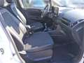 Ford EcoSport 1.0 EcoBoost Titanium AHK DynLicht Kam. Weiß - thumbnail 16