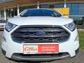 Ford EcoSport 1.0 EcoBoost Titanium AHK DynLicht Kam. Weiß - thumbnail 19