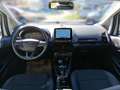Ford EcoSport 1.0 EcoBoost Titanium AHK DynLicht Kam. Weiß - thumbnail 11