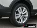Volkswagen Taigo GOAL 1,0 TSI Navi AHK ACC Park-Assist Gris - thumbnail 10