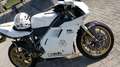 Ducati 996 Blanco - thumbnail 3
