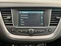Opel Grandland Business Editon AHK TEMPOMAT APPLE/ANDROID ALU PDC Blau - thumbnail 10