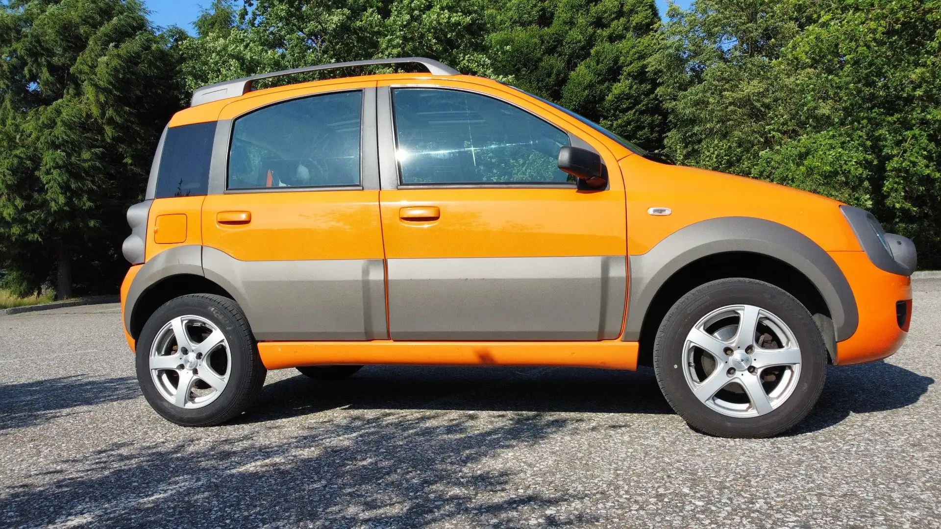 Fiat Panda 1.3 JTD Cross 4X4 - 1