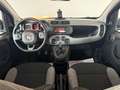 Fiat Panda Panda 1.0 FireFly S&S Hybrid City Life Noir - thumbnail 10