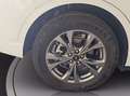 Ford Kuga 2.5 full hybrid st-line x 2wd 190cv cvt Bianco - thumbnail 13