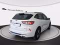 Ford Kuga 2.5 full hybrid st-line x 2wd 190cv cvt Bianco - thumbnail 4