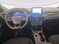 Ford Kuga 2.5 full hybrid st-line x 2wd 190cv cvt Bianco - thumbnail 6