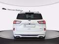 Ford Kuga 2.5 full hybrid st-line x 2wd 190cv cvt Bianco - thumbnail 5