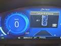 Ford Kuga 2.5 full hybrid st-line x 2wd 190cv cvt Bianco - thumbnail 12