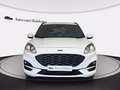 Ford Kuga 2.5 full hybrid st-line x 2wd 190cv cvt Bianco - thumbnail 2