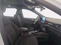 Ford Kuga 2.5 full hybrid st-line x 2wd 190cv cvt Bianco - thumbnail 8