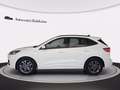 Ford Kuga 2.5 full hybrid st-line x 2wd 190cv cvt Bianco - thumbnail 3