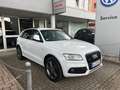 Audi Q5 2.0 TDI quattro S line*AHK/Xenon/Navi/Kamera* Blanc - thumbnail 4