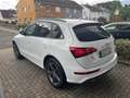 Audi Q5 2.0 TDI quattro S line*AHK/Xenon/Navi/Kamera* Weiß - thumbnail 7