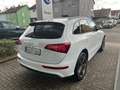 Audi Q5 2.0 TDI quattro S line*AHK/Xenon/Navi/Kamera* Blanc - thumbnail 5