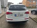 Audi Q5 2.0 TDI quattro S line*AHK/Xenon/Navi/Kamera* Weiß - thumbnail 9
