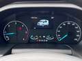 Ford Transit FT 350 DoKa Klima AHK 6 Sitze Trennwand  L2 Trend Schwarz - thumbnail 13