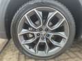 Skoda Kamiq 1.0 TSI DSG SCOUTLINE *LED *VIRTUAL *SHZ *PDC * Grau - thumbnail 7
