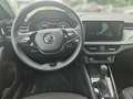 Skoda Kamiq 1.0 TSI DSG SCOUTLINE *LED *VIRTUAL *SHZ *PDC * Grau - thumbnail 11