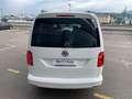 Volkswagen Caddy Maxi Outdoor 2.0 TDI 75kW (102CV) BMT Weiß - thumbnail 5