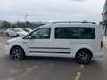 Volkswagen Caddy Maxi Outdoor 2.0 TDI 75kW (102CV) BMT Weiß - thumbnail 7