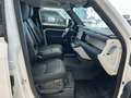 Land Rover Defender 110 S Wit - thumbnail 3