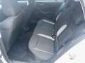Skoda Scala Selection TSI Weiß - thumbnail 19