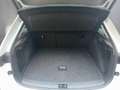 Skoda Scala Selection TSI Weiß - thumbnail 21