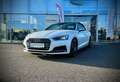 Audi A5 Cabrio Sport 3,0 TDI quattro  S-tronic V6 3xSLINE Weiß - thumbnail 1