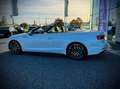 Audi A5 Cabrio Sport 3,0 TDI quattro  S-tronic V6 3xSLINE Weiß - thumbnail 4
