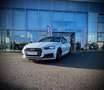 Audi A5 Cabrio Sport 3,0 TDI quattro  S-tronic V6 3xSLINE Weiß - thumbnail 2