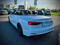 Audi A5 Cabrio Sport 3,0 TDI quattro  S-tronic V6 3xSLINE Weiß - thumbnail 6