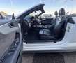 Audi A5 Cabrio Sport 3,0 TDI quattro  S-tronic V6 3xSLINE Weiß - thumbnail 9
