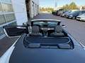 Audi A5 Cabrio Sport 3,0 TDI quattro  S-tronic V6 3xSLINE Weiß - thumbnail 11