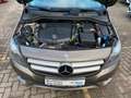 Mercedes-Benz B 220 CDI 7G-DCT SPORTPAKET EURO6|AHK|NAVI|SPUR Gris - thumbnail 30