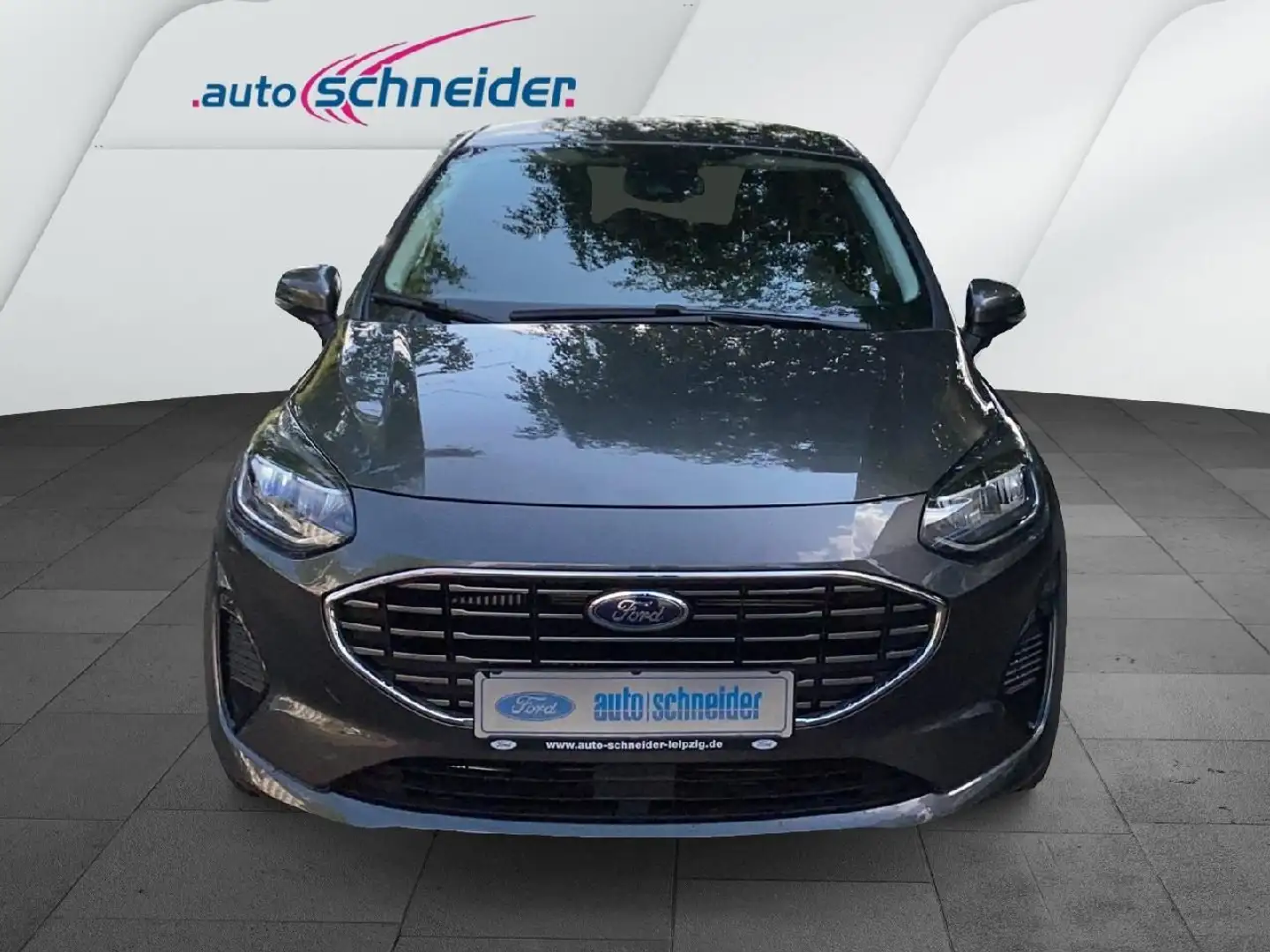 Ford Fiesta Titanium Grau - 2