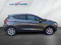 Ford Fiesta Titanium Grau - thumbnail 4