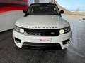 Land Rover Range Rover 3.0D TDV6 HSE AWD Aut. Blanco - thumbnail 3