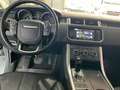 Land Rover Range Rover 3.0D TDV6 HSE AWD Aut. Blanco - thumbnail 20