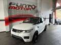 Land Rover Range Rover 3.0D TDV6 HSE AWD Aut. Blanco - thumbnail 7