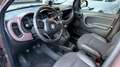 Fiat Panda 1,2 70 Trussardi Braun - thumbnail 9