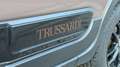 Fiat Panda 1,2 70 Trussardi Braun - thumbnail 21