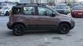 Fiat Panda 1,2 70 Trussardi Braun - thumbnail 6