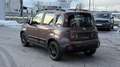 Fiat Panda 1,2 70 Trussardi Braun - thumbnail 3
