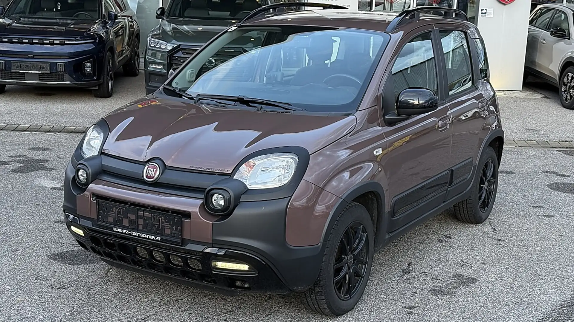 Fiat Panda 1,2 70 Trussardi Braun - 1