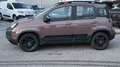 Fiat Panda 1,2 70 Trussardi Braun - thumbnail 2