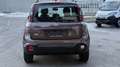 Fiat Panda 1,2 70 Trussardi Braun - thumbnail 4