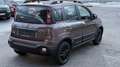 Fiat Panda 1,2 70 Trussardi Braun - thumbnail 5