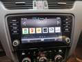 Skoda Octavia 4x4 SCOUT TDI DSG Schwarz - thumbnail 17